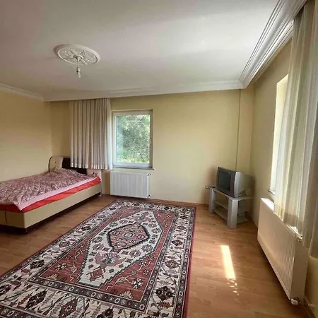 Villa With Pool In Tekirdag- Istanbul Tekirdağ